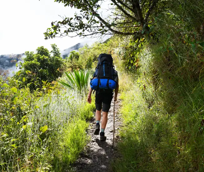 Final Stretch of the Salkantay Trek Leading to Machu Picchu | Conde Travel Adventures Woman hiking the final forested path towards Machu Picchu after completing the Salkantay Trek | Conde Travel Adventures